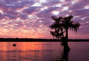 300-bayou