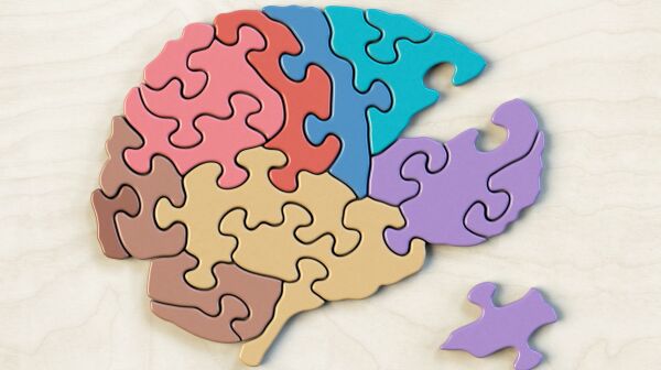 Brain puzzle.jpg