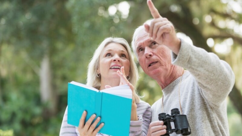 Bird watchers