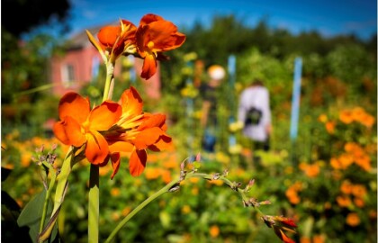 AARP Days Return to New England Botanic Garden at Tower Hill This September