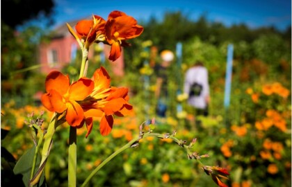 AARP Days at New England Botanic Garden at Tower Hill- September Days still available.