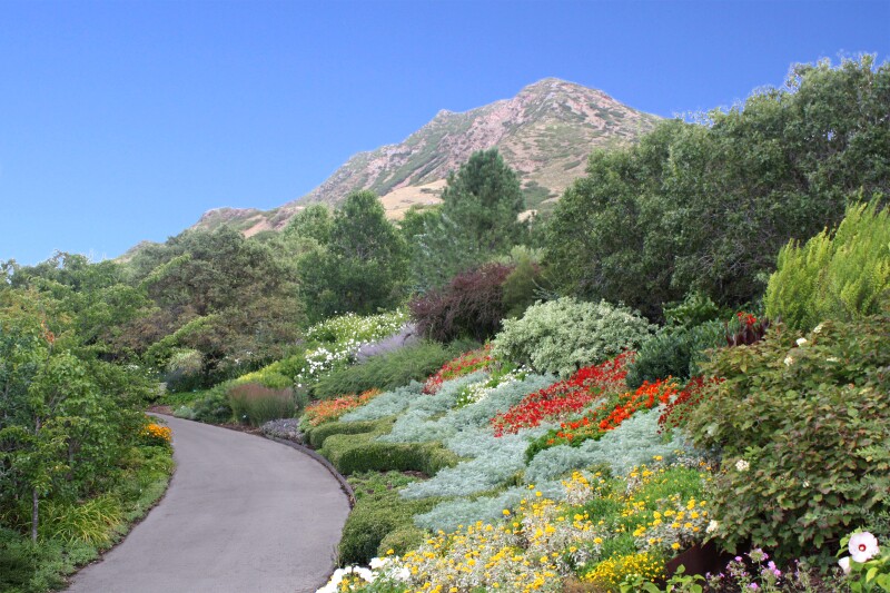 Red-Butte-Garden-FloralWalk-2013