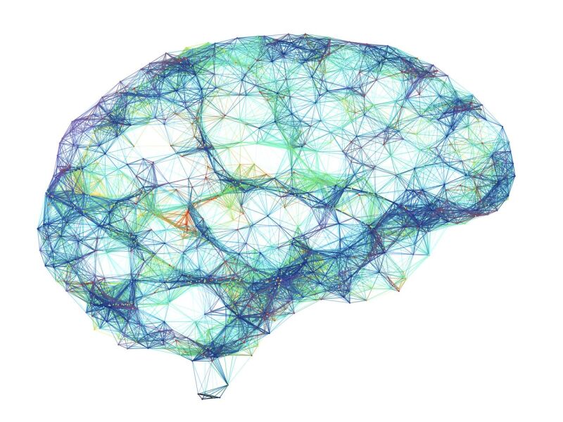 Brain Image.jpg