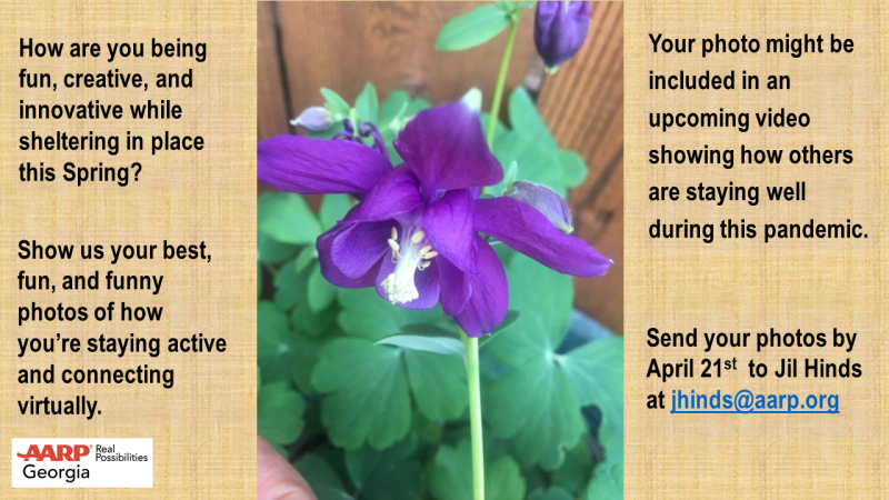 Spring2.png