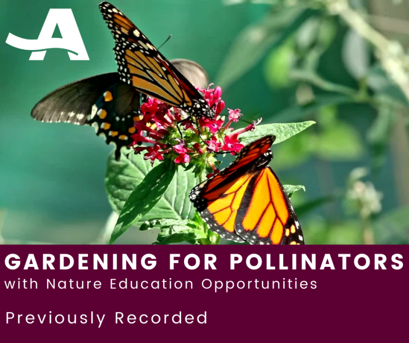 Copy of ICYMI Gardening for Pollinators April 2022.png
