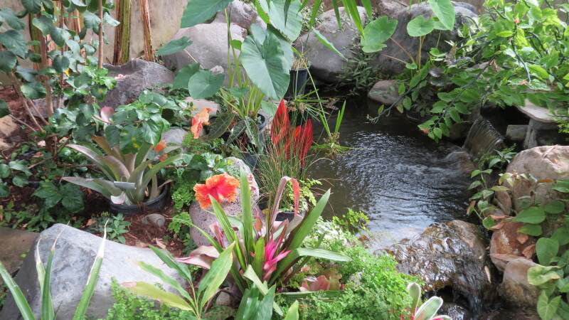 western CO botanic gardens