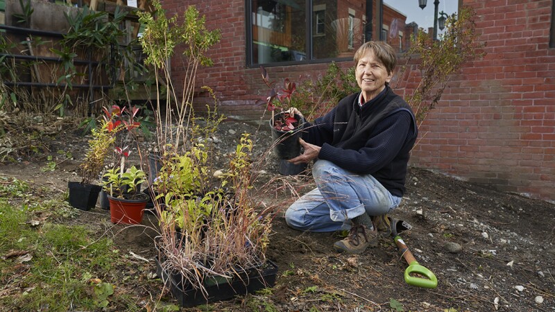 A woman kneels in a garden, holding a potted plant that's ready to be put in the soil