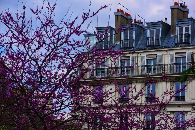 The Paris Marathon is in the Spring and it’s a fabulous time of year to be there.