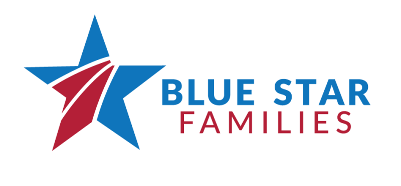 BSF-Logo-2018-01-2.png