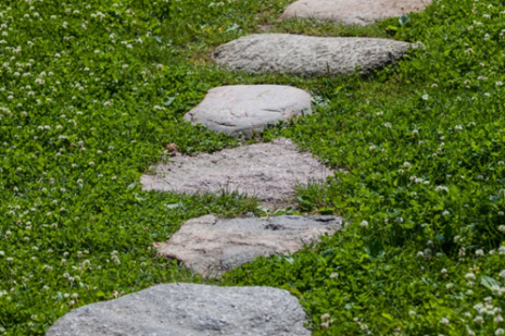 Retirement path
