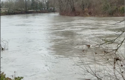 Stay Safe During Washington Flooding