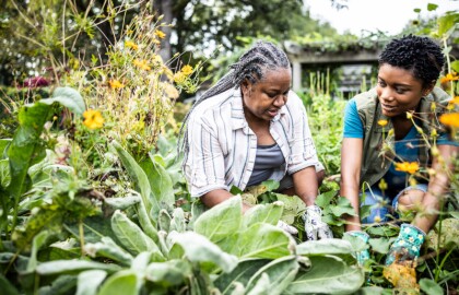 2024 Day of Service Volunteer Opportunities with AARP Oklahoma