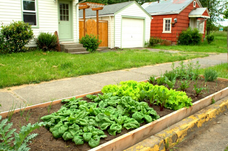 Yard to Table