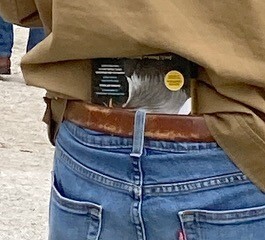 Dennis' field guide 'pocket'