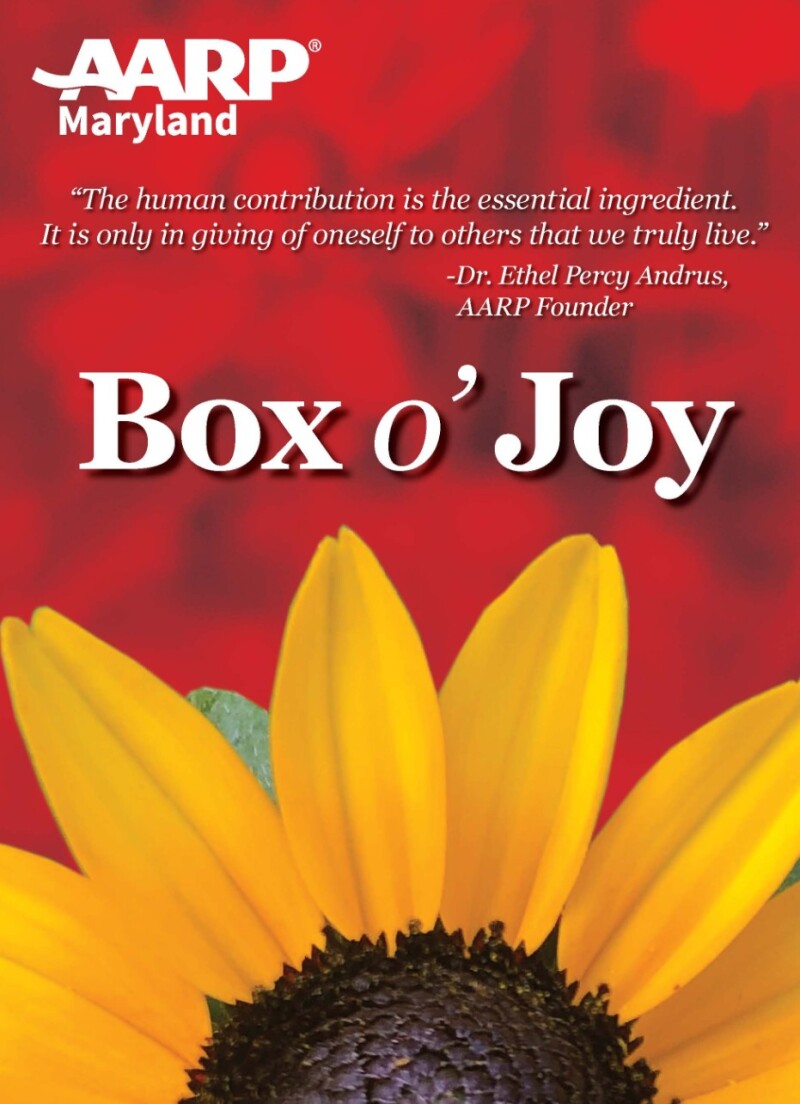 Boxes of Joy.jpg