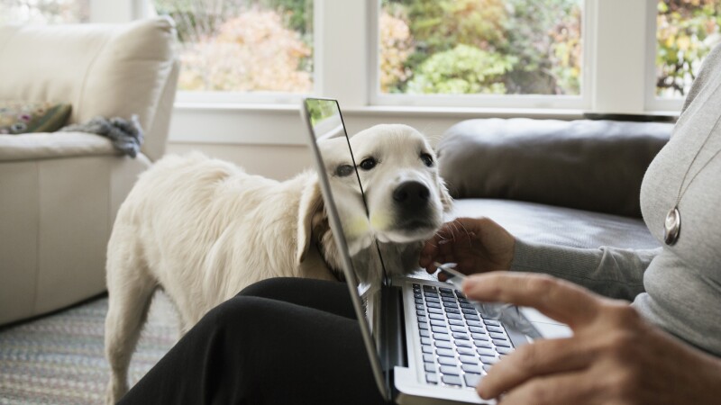 Close up of senior woman shopping online at home
