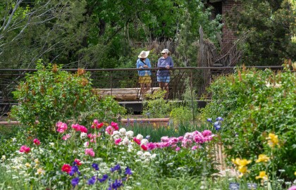 Meet AARP Colorado at the Denver Botanic Gardens