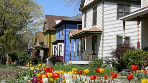 Tulips in front of houses on Milwaukee Avenue