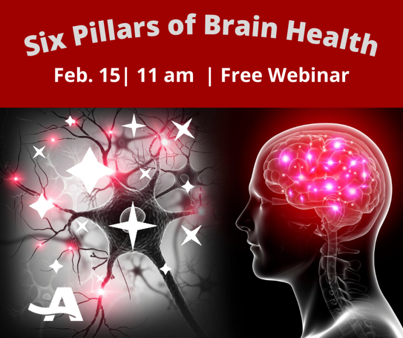 Six Pillars of Brain Health SB - Feb 17 2022.png