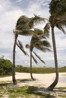 FLHurricanesandWeather8