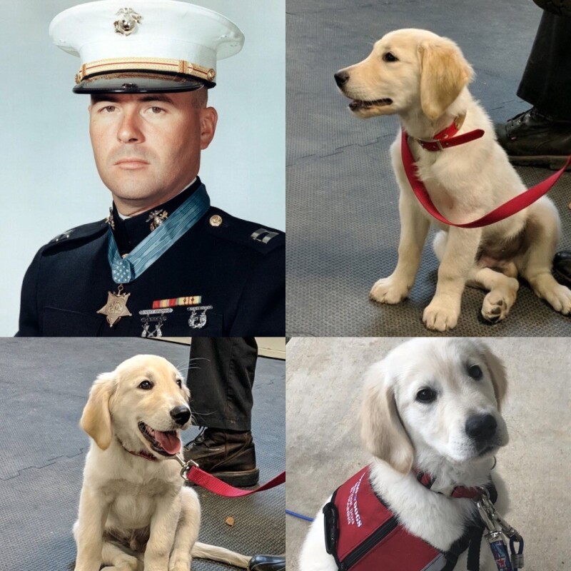 BarneyDog.jpg