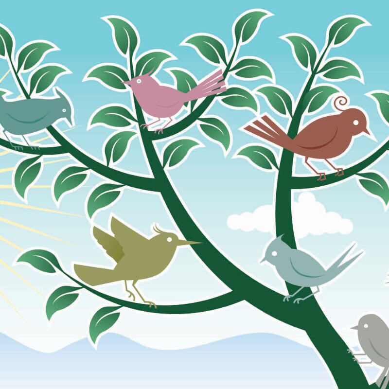 224563-Audubon bird walk