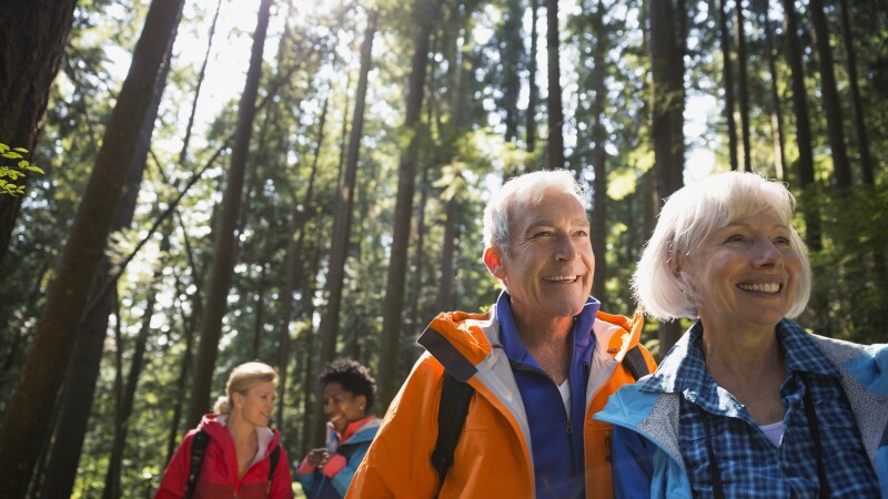 Senior couple hiking in sunny woods