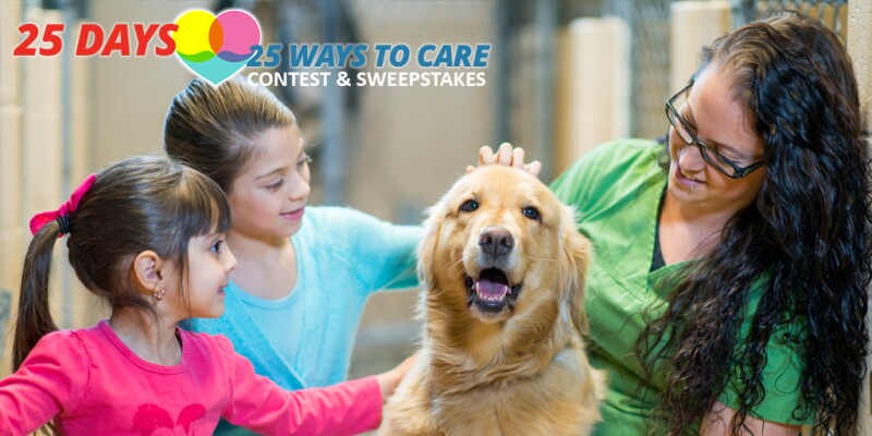 25 Days_25 Ways to Care Contest_Create the Good_vet-tech-children
