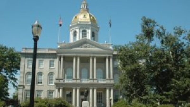 Volunteers_New_Hampshire_State-74444a3b-95db-4cbb-b448-92e9329894ce-1567721663_p-300x199.jpg