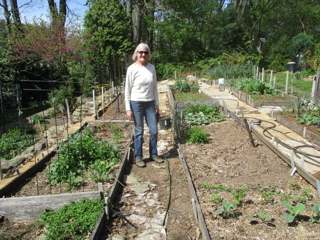 COVID Cohousing picture 3 volunteer Linda Giltz.jpg