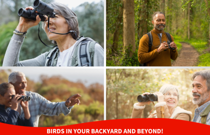 Birds in your Backyard and Beyond!