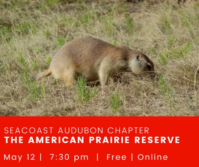 The American Prairie Reserve.png