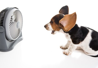 iStock_000007283824XSmall