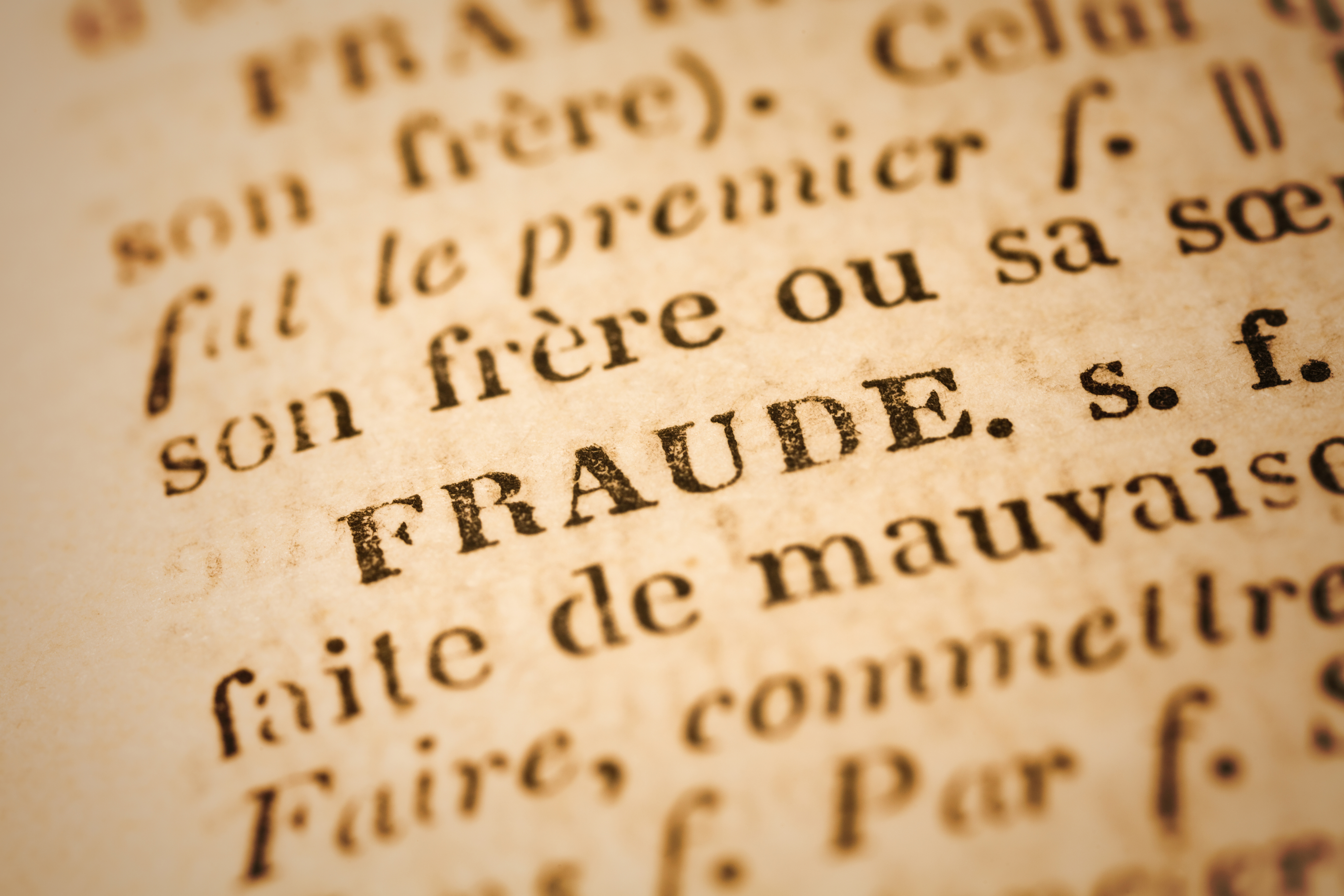 Fraude: French Dictionary Close-up