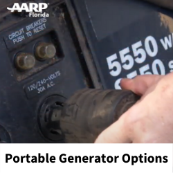 Portable Generator Options.png
