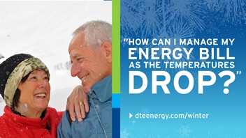 DTE Energy Tips Image