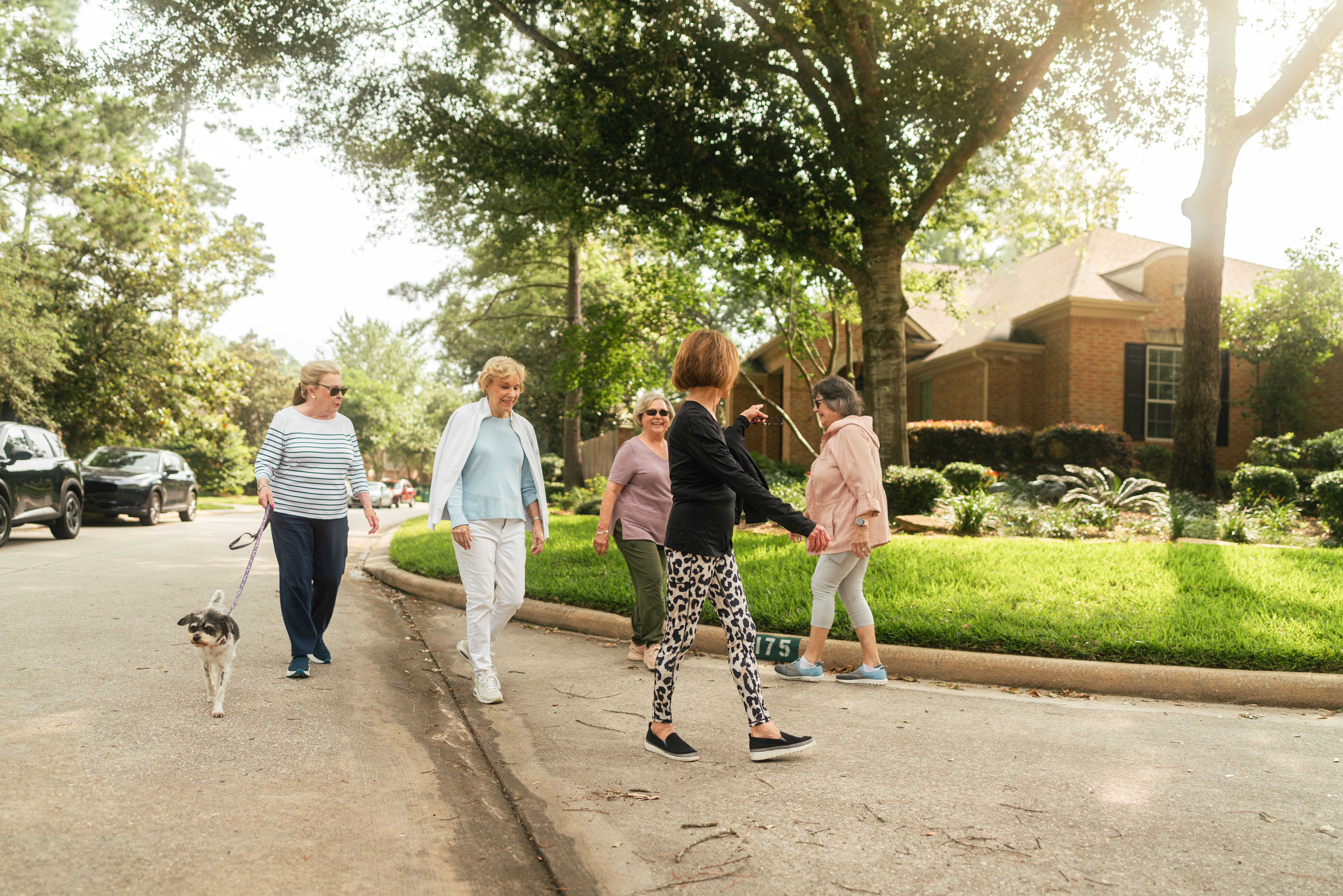 Group of senior women on a walk in the neighborhood