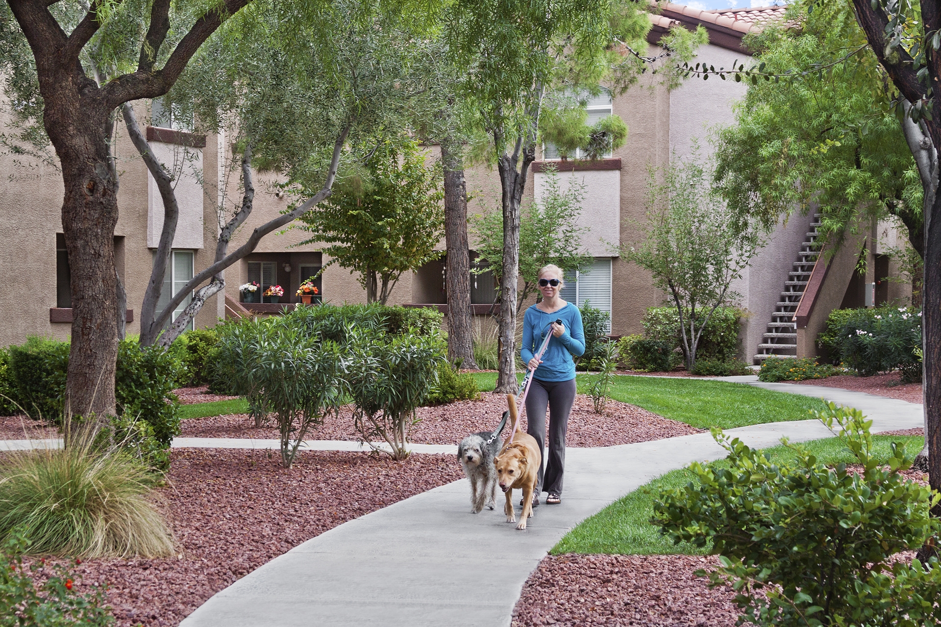 walking in las vegas