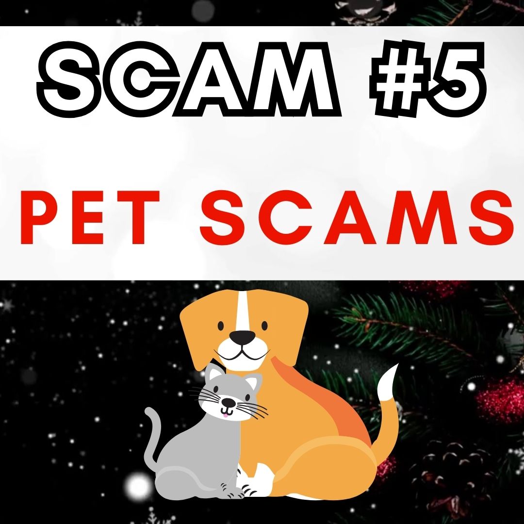 12 Scams of Christmas Scam 5 pets.jpg