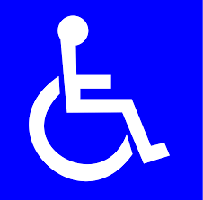 Wheelchair icon