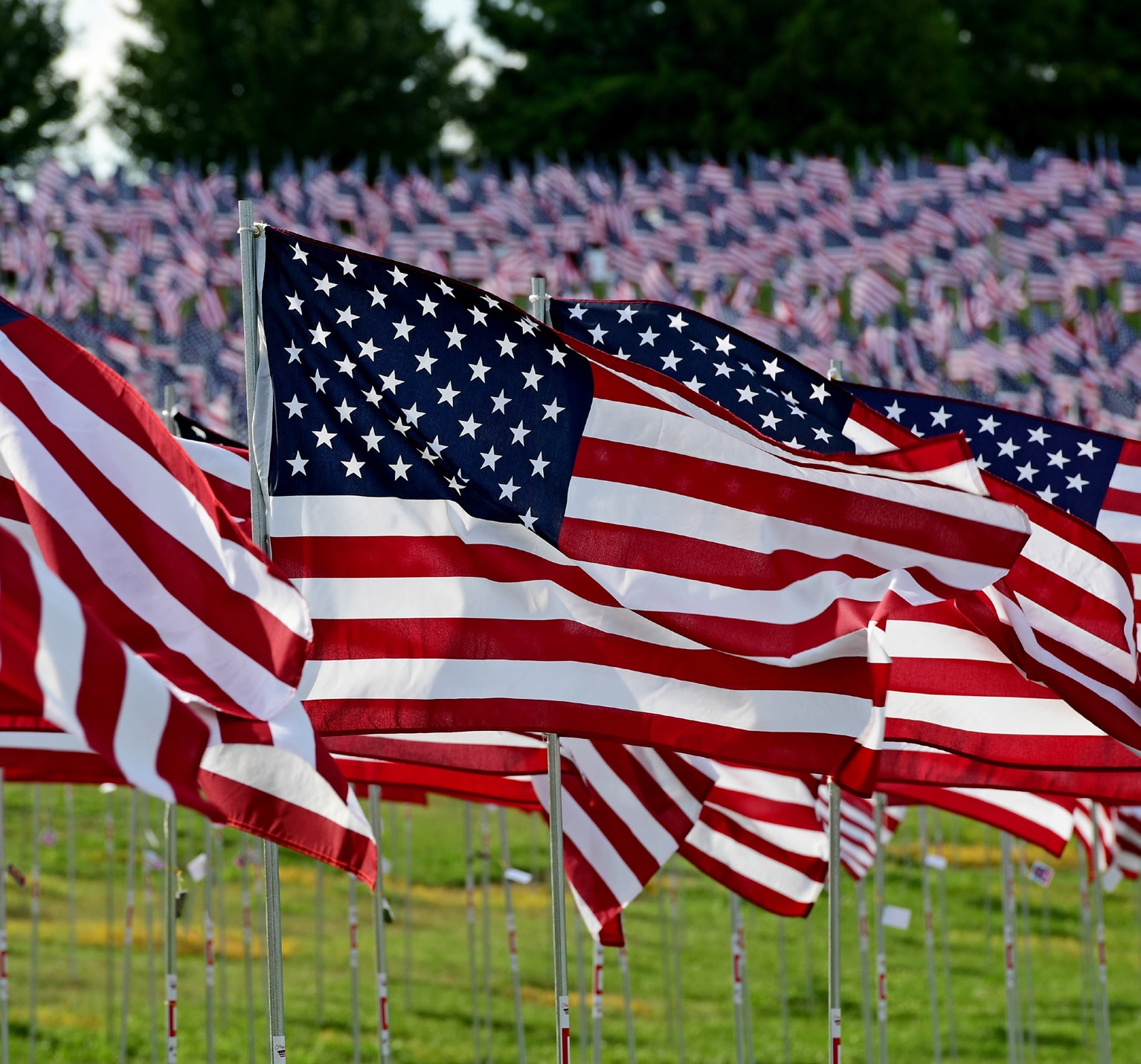 Flags