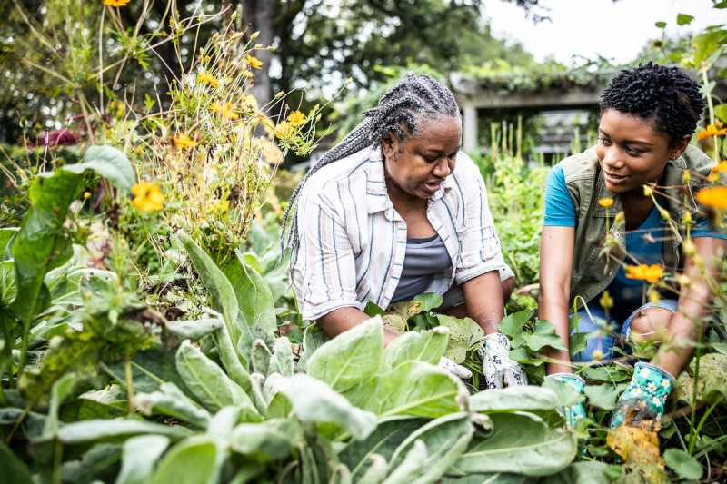 OK volunteer community garden