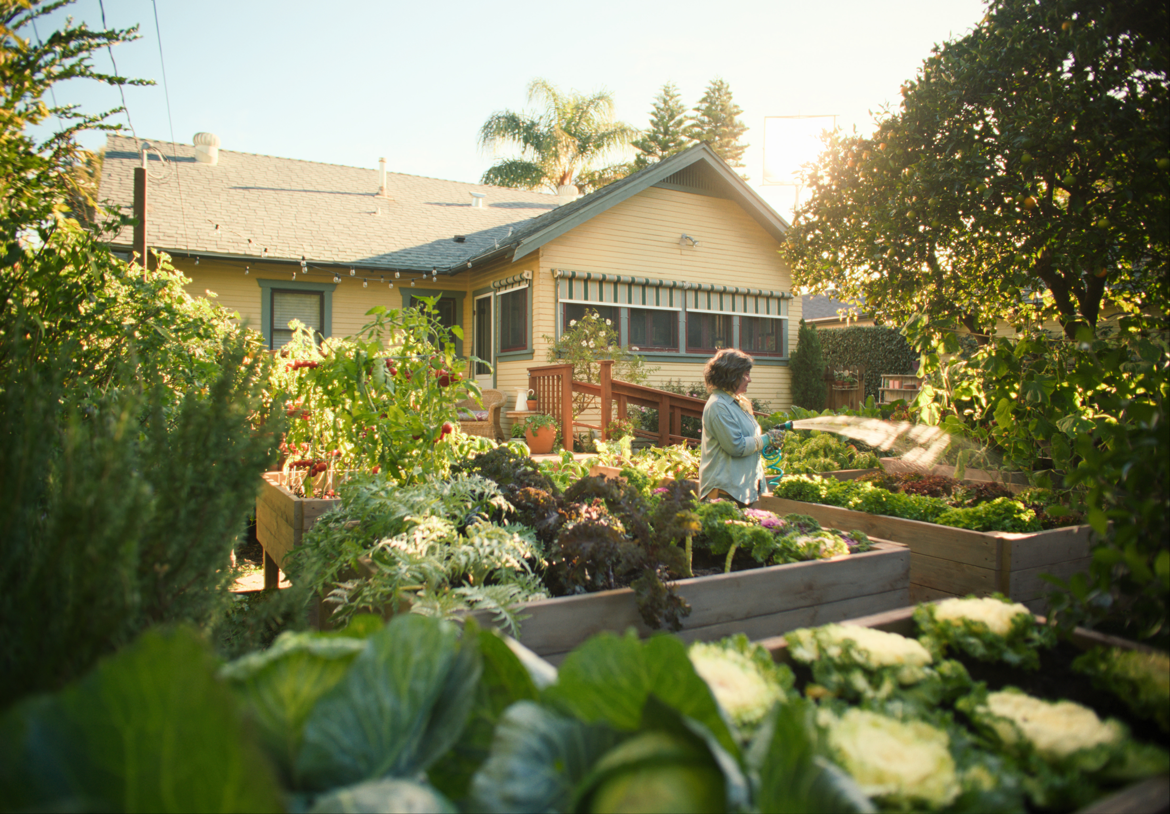 Is Your Outdoor Space An Enjoyable Haven or Lurking With Hazards?